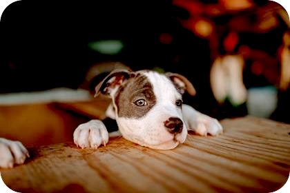 9月14・15日は臨時休業とさせて下さい。