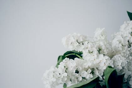 年末年始の営業のお知らせ