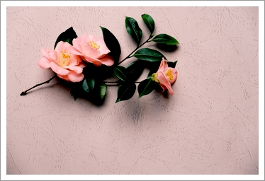 あけましておめでとうございます。