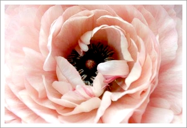 明日10月26日は、臨時休業させていただきます。