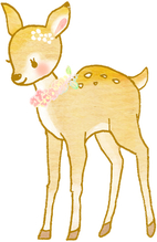 本のエネルギーが分かるようになった