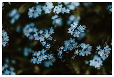 １月２３日は臨時休業させていただきます。