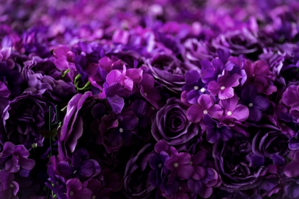 「お客様の声」1件アップしました