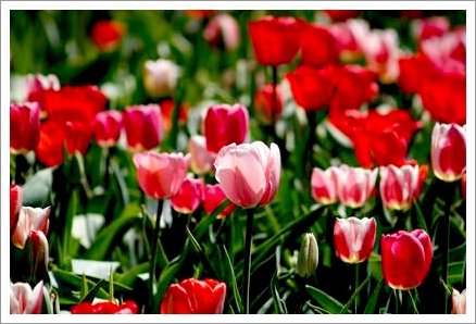 「セラピーに関するご質問」1件アップしました