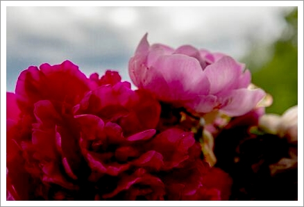 「セラピーに関するご質問」１件アップしました