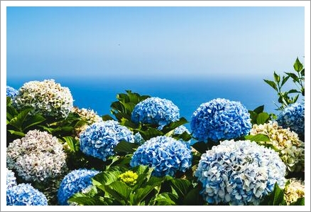 「セラピーに関するご質問」１件アップしました。