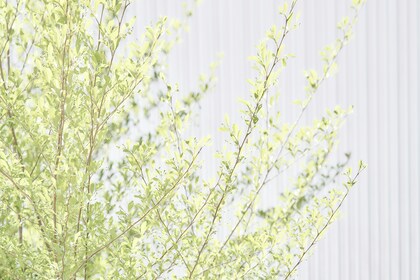 「セラピストの役割」1件アップしました。