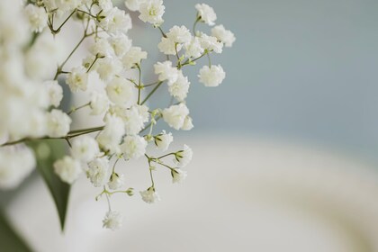 「セラピーに関するご質問」１件アップしました。