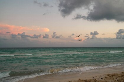 「ちょっとセラピーのこと」１件アップしました