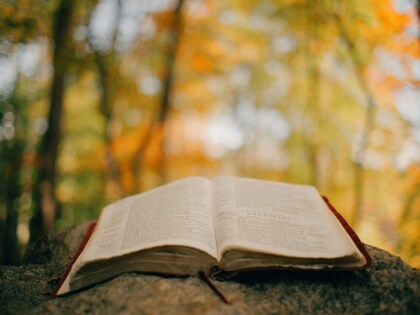 「ちょっとセラピーのこと」1件アップしました