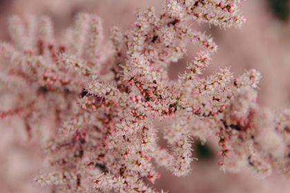 「ちょっとセラピーのこと」1件アップしました。