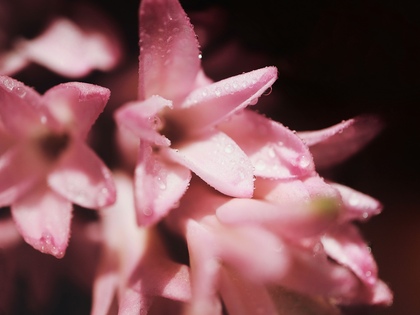 「ちょっとセラピーのこと」1件アップしました