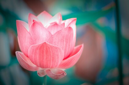 「ちょっとセラピーのこと」図解を入れてみました。