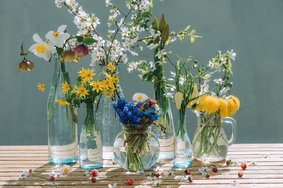 「ちょっとセラピーのこと」1件アップしました