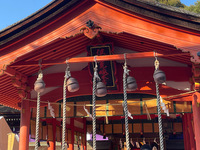 今日は住吉さんに参拝