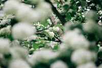 結婚相手選びで学んだ、直感を信じる大切さ