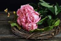 心を癒すことによって、心身ともに健康に。