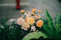 幸せになるためには、まずは親子関係のものを癒せば良い