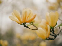 人生の流れに任せて大丈夫！