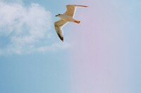 あなたの魂の目的を探る手がかりに