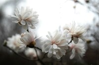 「ハイヤーセルフの声」が聞き取りたいけど聞き取れない方にはセラピーはおすすめ