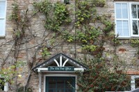 「ちょっとセラピーのこと」1件アップしました