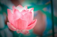 「ちょっとセラピーのこと」図解を入れてみました。