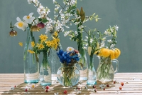 「ちょっとセラピーのこと」1件アップしました