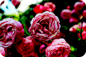 オリジナルヒーリングと組み合わせて取り組んでいくのでヒーリング効果が高いです